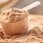 Saiba mais sobre os suplementos de proteína: Whey, Albumina, Caseína e Beef Protein